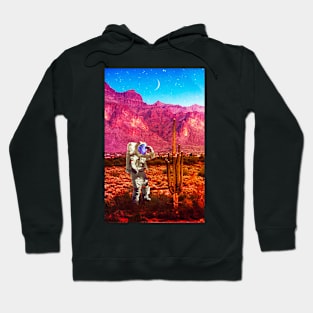 In The Search Hoodie